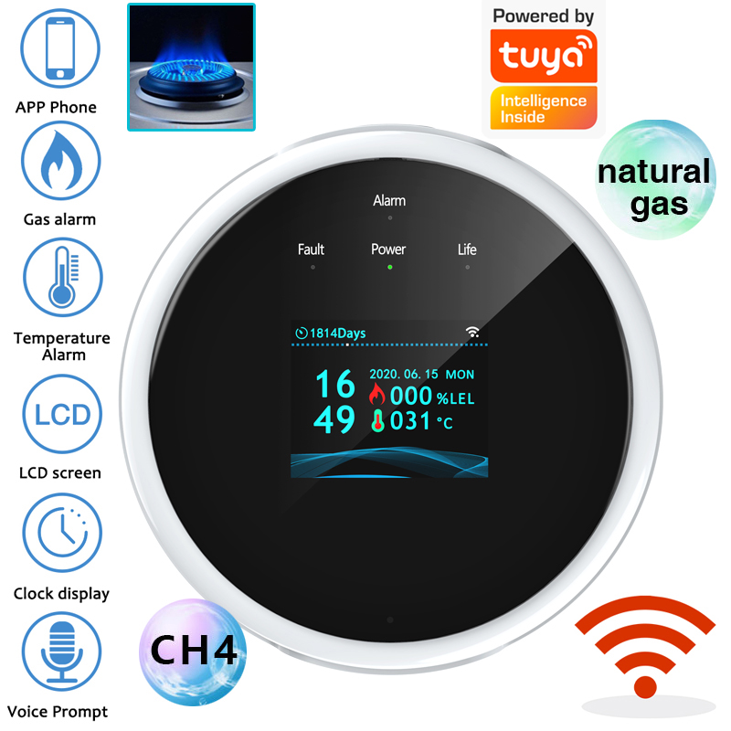 Home Security Upgrades - Czujnik gazu 2.4G WiFi, detektor gazów
