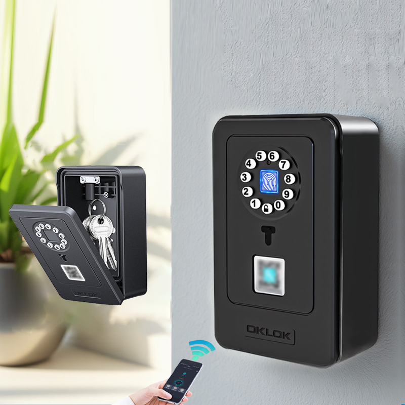 Home Security Key - Inteligentna kłódka z funkcją przechowywania hasła,