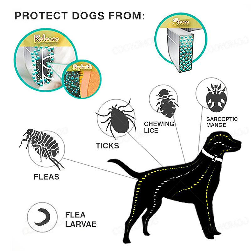 Przeciw pchłom dla psów i kles – Pet Immune Pir Sensor recenzja i cena