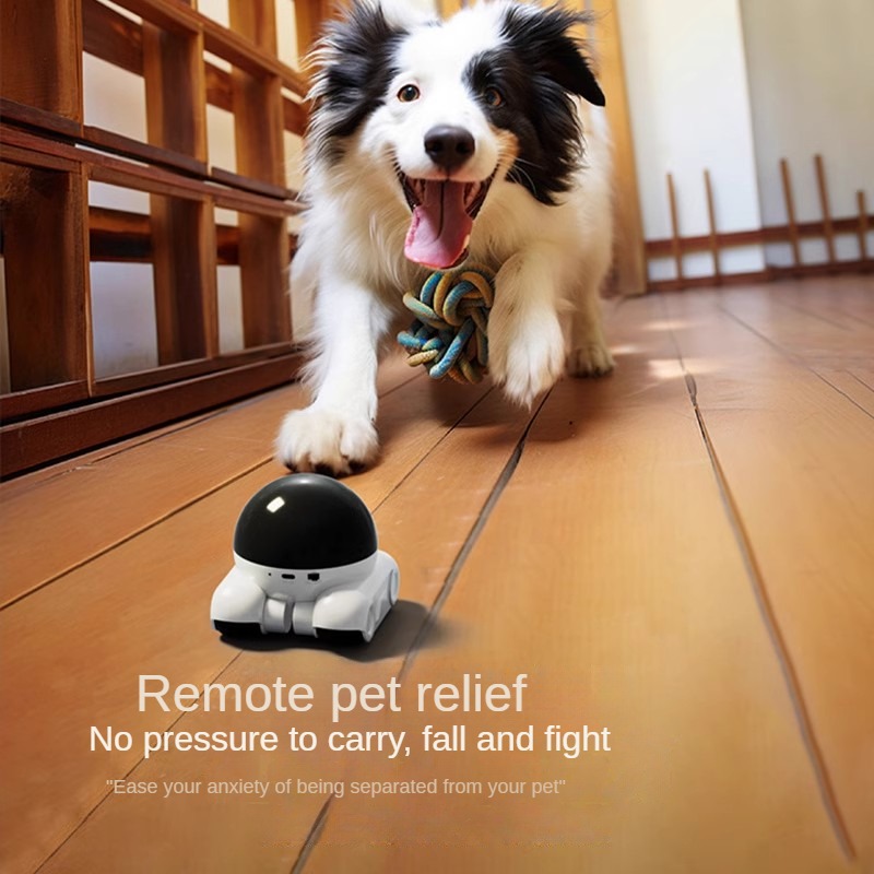 Inteligentna kamera IP kopułko – Home Security Robot Dog recenzja i cena