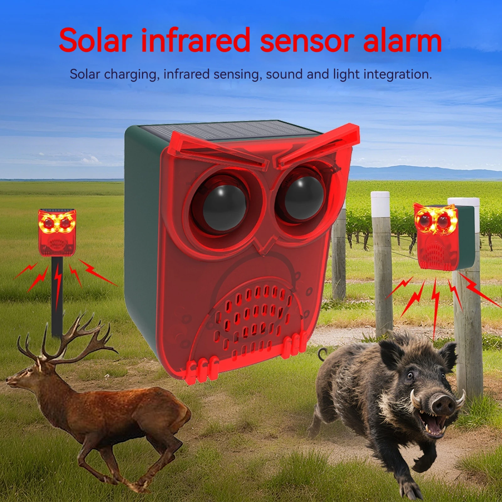 Zewnętrzny, wodoodporny, solar – Pet Immune Pir Sensor recenzja i cena