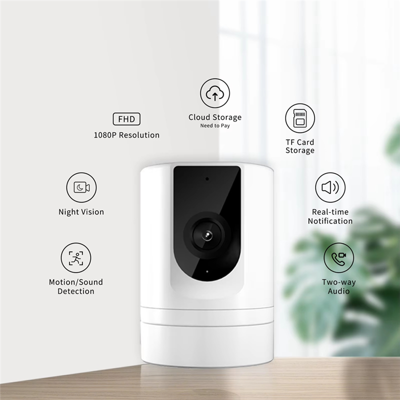 Kamera bezpieczeństwa SEWS-2PC – Home Security Video Cameras recenzja i cena