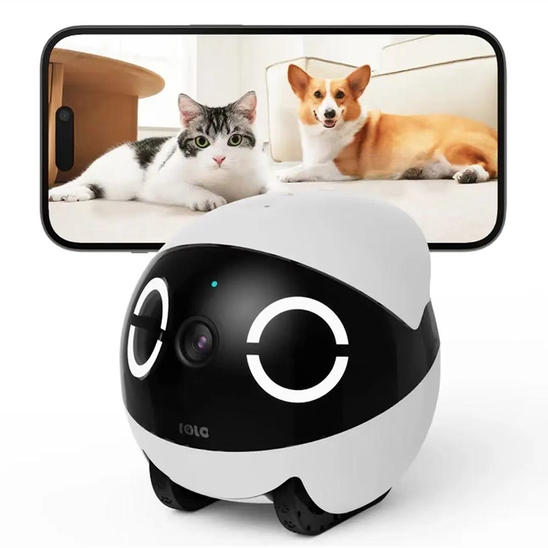 Enabot Rola 2K Kamera Domowa d – Home Security Robot Dog recenzja i cena